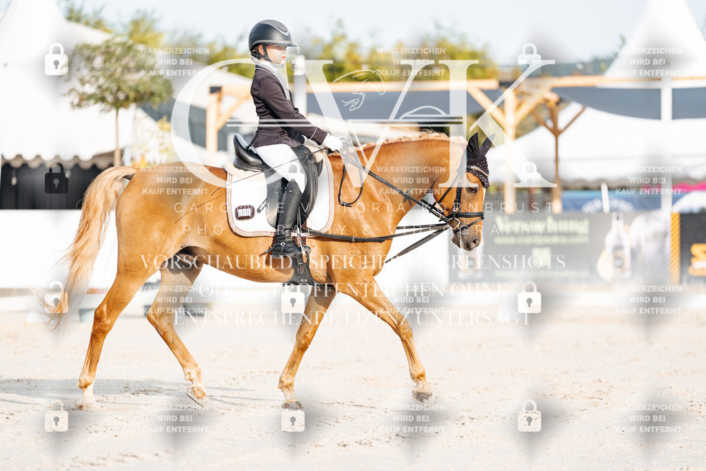 CK903643 | Turnierfotografie Pferdefotografie Trier Rheinland-Pfalz Pferdesport Reitsport Tierfotografie Sportfotografie Pferdevideo Pferdevideografie Equestrianvideography equestrianphotography  - Realisiert mit Pictrs.com