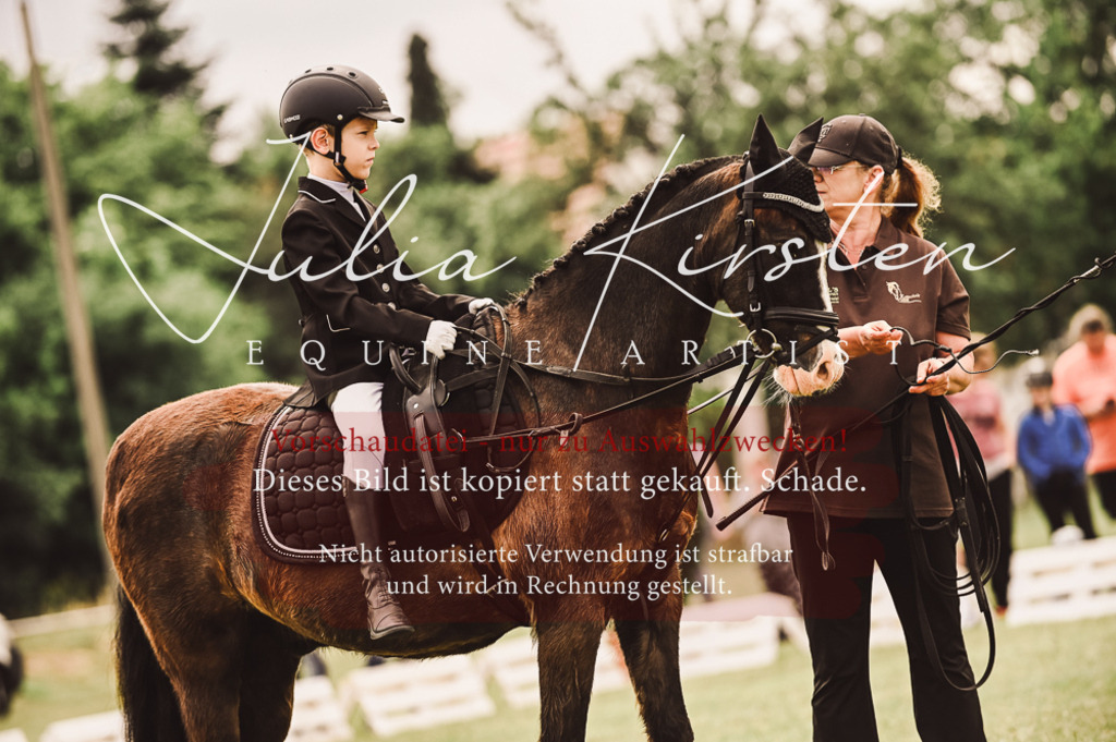 DSC_5356 | Pferde- und Turnierfotografie in Westsachsen. Pferdeportraits, Auftragszeichnungen und intuitive Kunst.