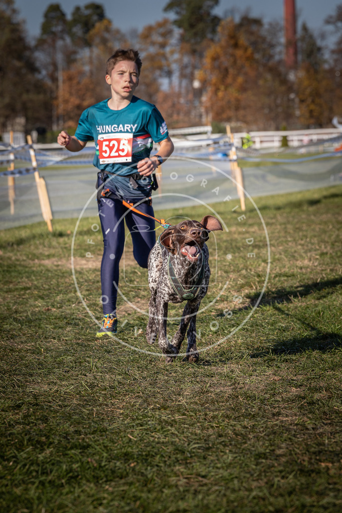 CaniXpix_0L8A7270 | Hundefotografie, Tierfotograf, Pfotenfotografie, Fotoshooting Hund, Hunde Portrait, Hundesport, Hundeportraits, Heideshooting, Hunde, Sportfotograf, Hundefotograf, Turnierhundsport, THS,  - Realisiert mit Pictrs.com