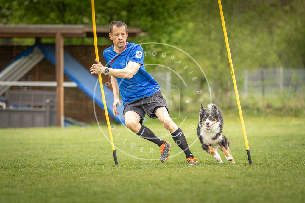 Pfotenfotografie_DV3A0161 | Hundefotografie, Tierfotograf, Pfotenfotografie, Fotoshooting Hund, Hunde Portrait, Hundesport, Hundeportraits, Heideshooting, Hunde, Sportfotograf, Hundefotograf, Turnierhundsport, THS,  - Realisiert mit Pictrs.com