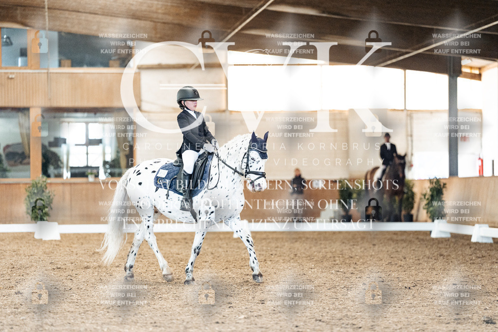 CK908946 | Turnierfotografie Pferdefotografie Trier Rheinland-Pfalz Pferdesport Reitsport Tierfotografie Sportfotografie Pferdevideo Pferdevideografie Equestrianvideography equestrianphotography  - Realisiert mit Pictrs.com