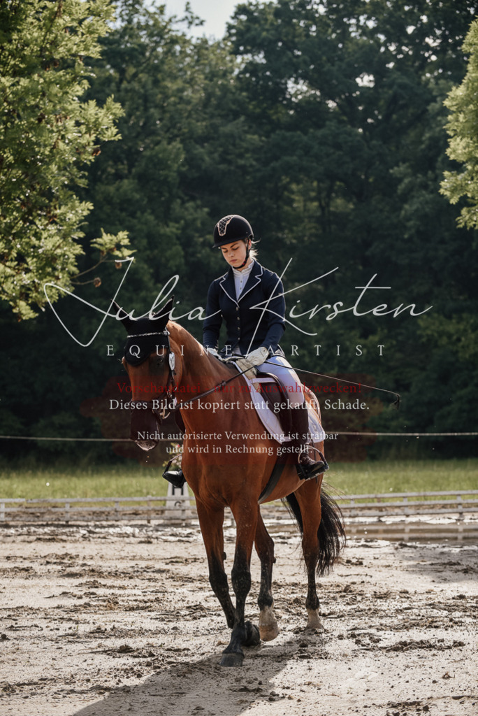 DSC_8446 | Pferde- und Turnierfotografie in Westsachsen. Pferdeportraits, Auftragszeichnungen und intuitive Kunst.