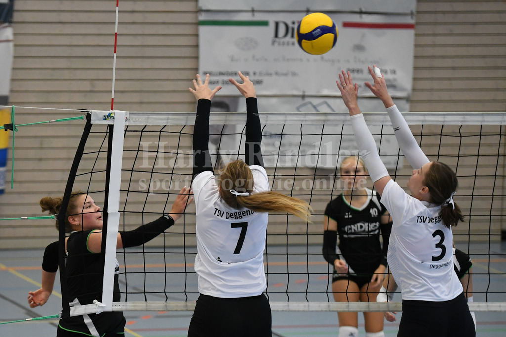 TSV Deggendorf Damen : Wilde Wespen Steinach | TSV Deggendorf Damen : Wilde Wespen Steinach - Realisiert mit Pictrs.com