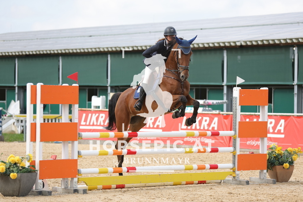 0P6A2622 | Willkommen bei Brunnmayr - Design & Fotografie – Ihrem Spezialisten für Reitturniere und Pferdeveranstaltungen in Oberösterreich, Salzburg und Bayern! Seit über 17 Jahren sind wir leidenschaftlich dabei.