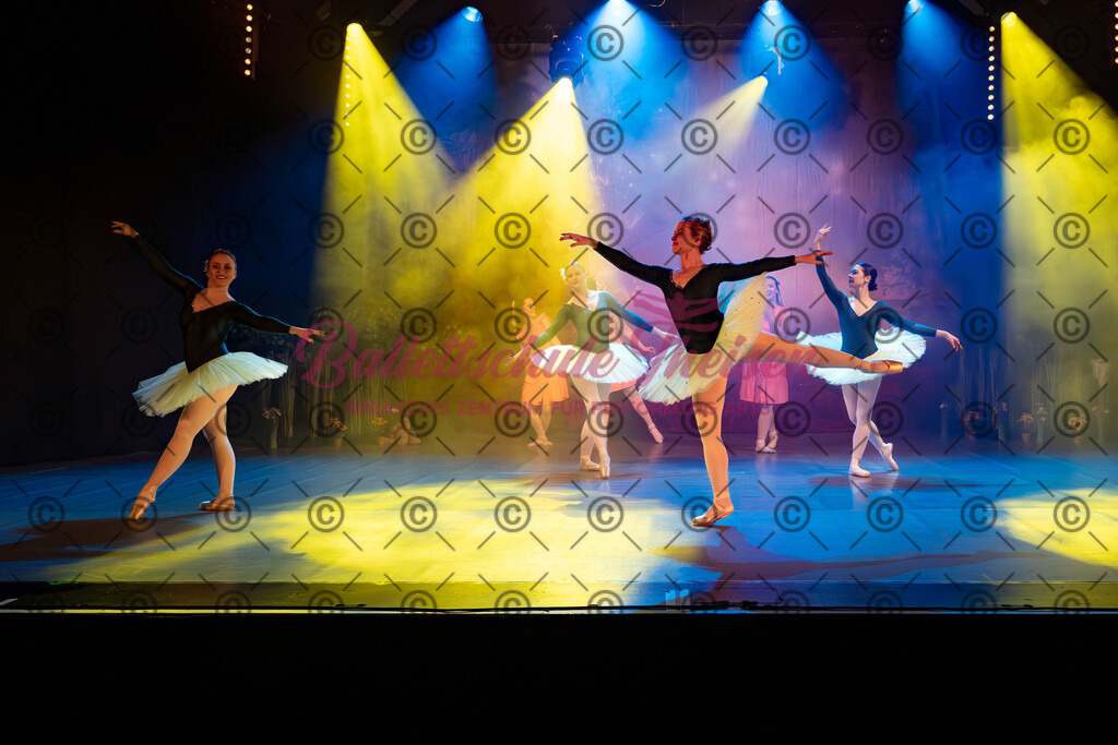 Ballettaufführung-76 | Bildershop Lem'n Entertainment - Realisiert mit Pictrs.com