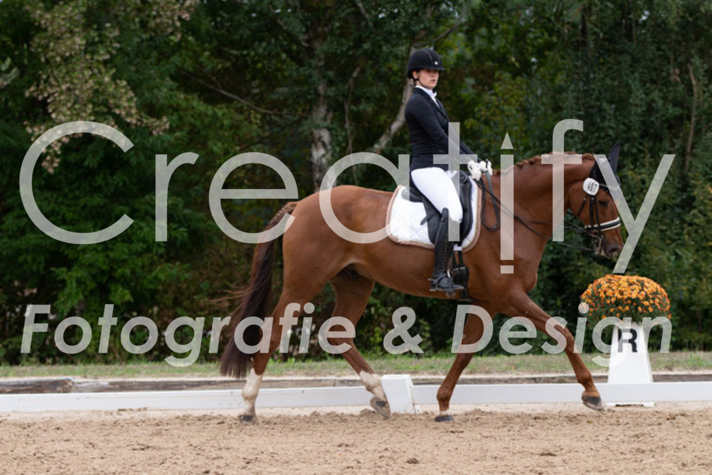 IMG_7633 | Creatify Fotografie