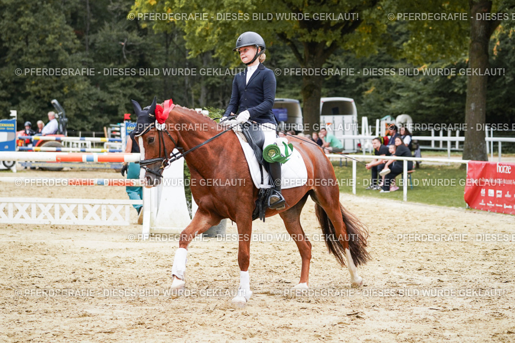 DSC06179 | Pferdegrafie