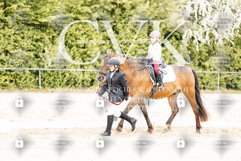 CK903695 | Turnierfotografie Pferdefotografie Trier Rheinland-Pfalz Pferdesport Reitsport Tierfotografie Sportfotografie Pferdevideo Pferdevideografie Equestrianvideography equestrianphotography  - Realisiert mit Pictrs.com