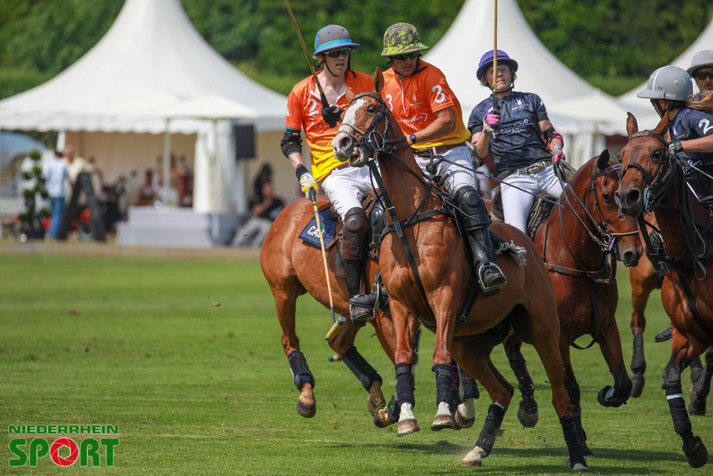 Polo_Willich_070623_037 | Bildergalerie von Sport-Ereignissen aber auch von weiteren spannenden Dingen - nicht nur vom Niederrhein. In Anlehnung an den bekannten Spruch von Hanns Dieter Hüsch heißt das Motto: "Niederrhein ist überall".  - Realisiert mit Pictrs.com