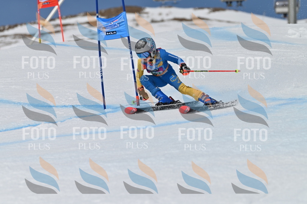 BGV_6675 | holidayphoto