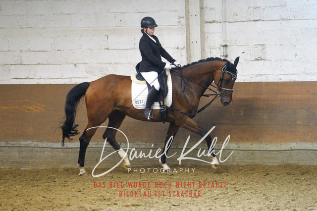 DKP43973 | Turniersportfotografie; Pferdefotografie; Dressurfotografie