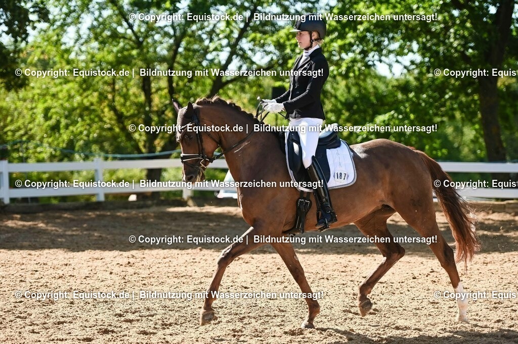 20230715_06_Dressurpferdeprfg. Kl.A_0429 | equistock