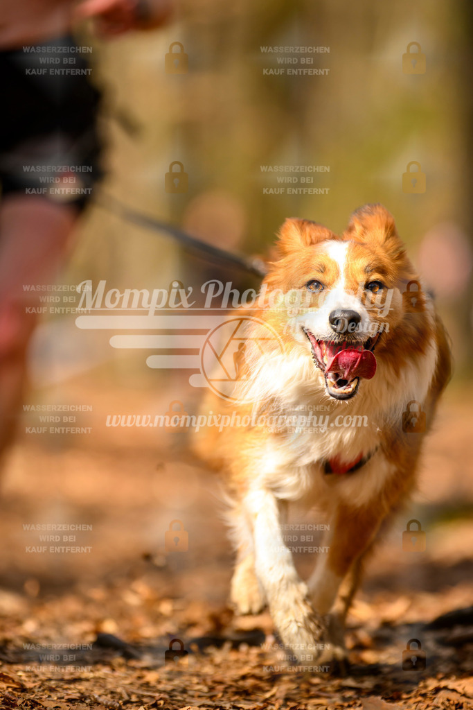 MompixPhotography_Habay2025_SA_CCC-160 | PayLife