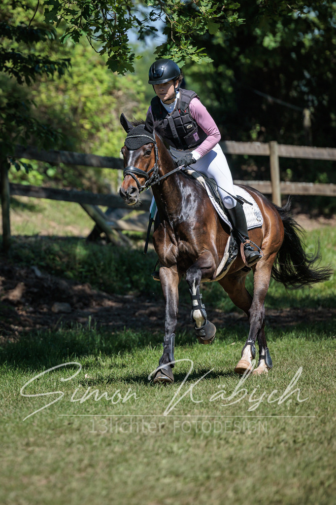 20260523-_3LI7660 | Tierfotografie Pferde, Hunde, Katzen, Haustiere.
Turnierfotografie Reitturniere, Reiten, Springreiten, Dressur in Hanau, dem Main-Kinzig-Kreis und dem Rhein-Main- Gebiet um Frankfurt