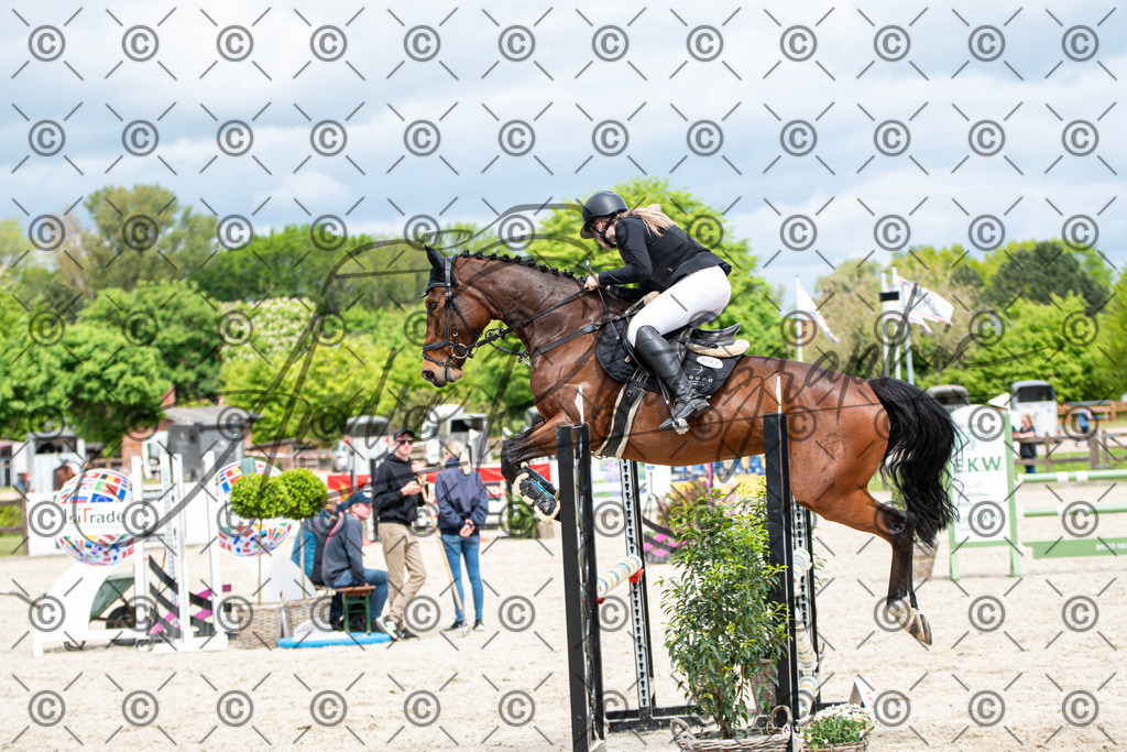 KPT_5547 | andre_photographic