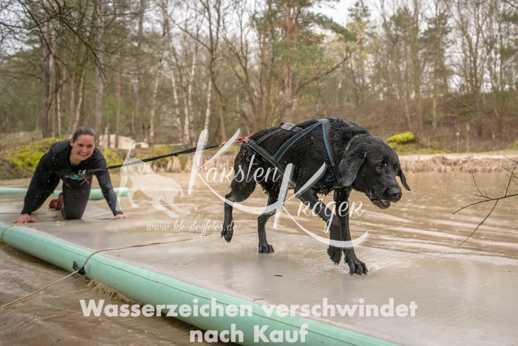 1057_ZZ93879-Bearbeitet | kk-dogfotos