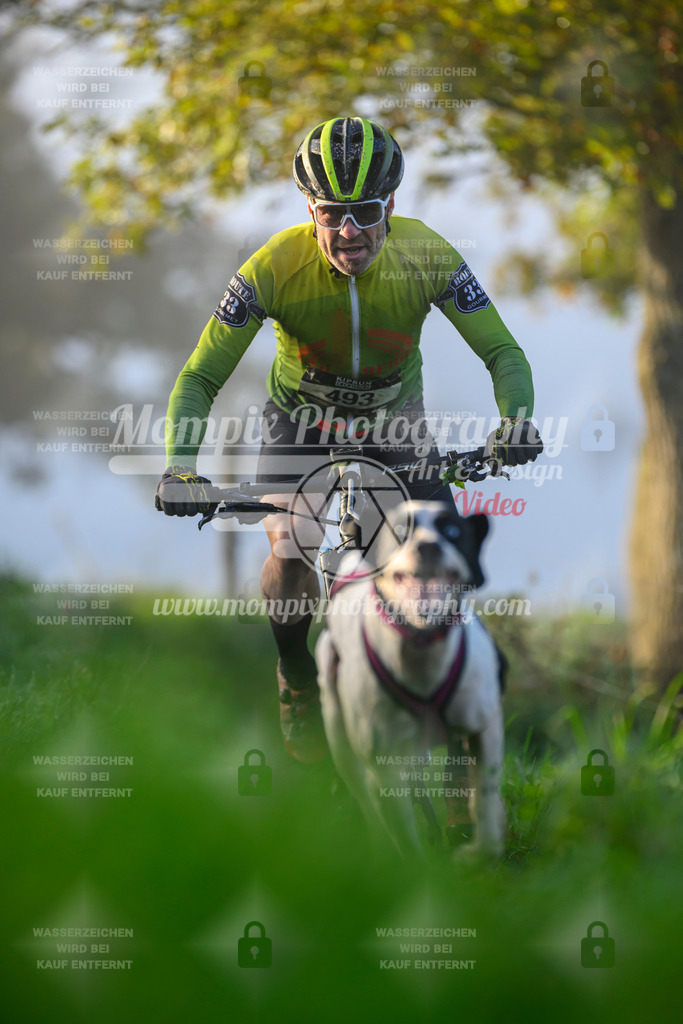 MompixPhotography_20TSB_E3_Bike-4 | PayLife