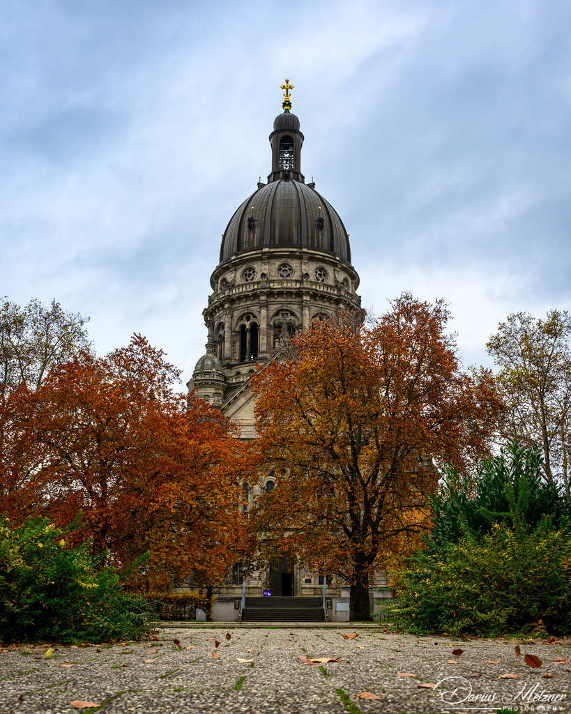 DSC_4394 2 | Fotografien, Fotos und Bilder aus Mainz, Frankfurt, Wiesbaden und anderen Orten auf der Welt - Fotografiert von Darius Metzner