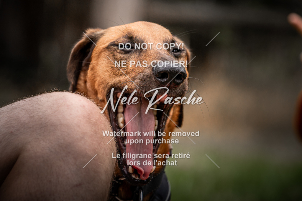 nelerasche_freitag2_133 | nelerasche