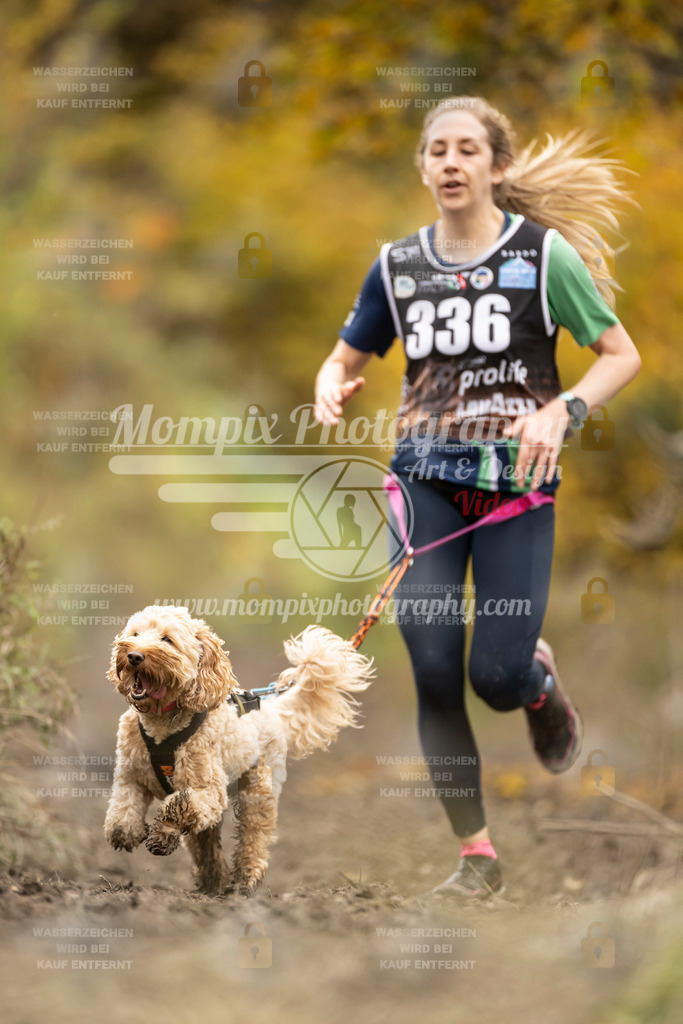 MompixPhotography_ICF_WC_2024_SA_Run_-244 | PayLife