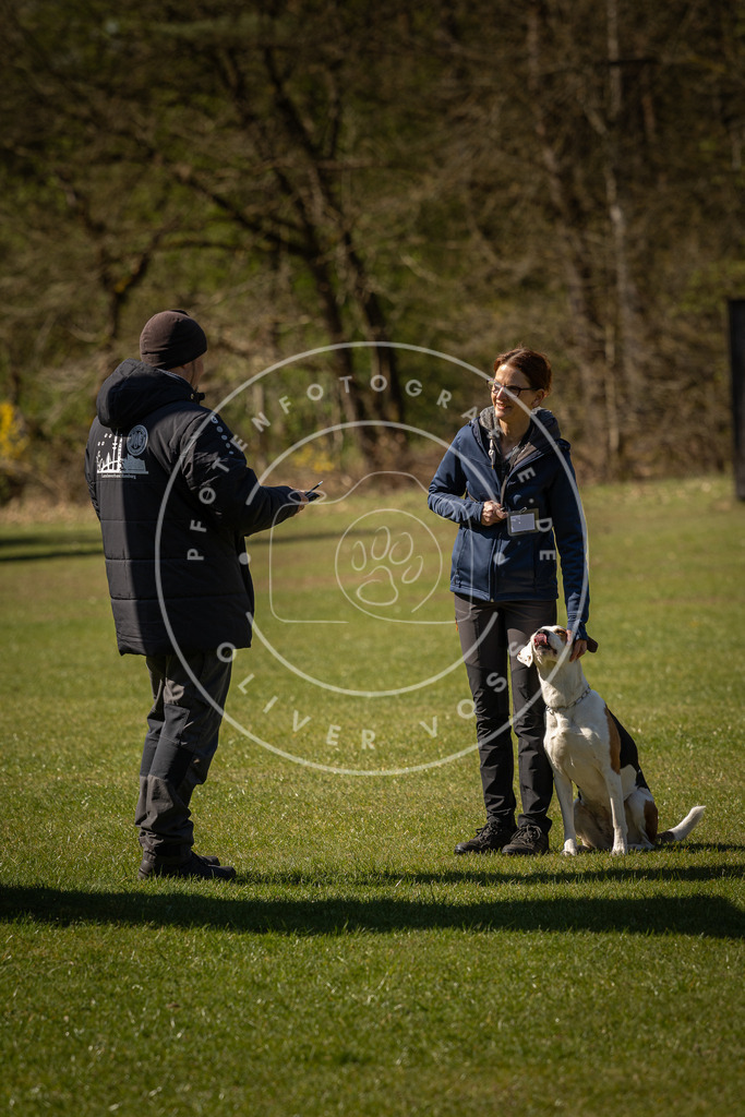 Pfotenfotografie_DV3A0668 | Hundefotografie, Tierfotograf, Pfotenfotografie, Fotoshooting Hund, Hunde Portrait, Hundesport, Hundeportraits, Heideshooting, Hunde, Sportfotograf, Hundefotograf, Turnierhundsport, THS,  - Realisiert mit Pictrs.com