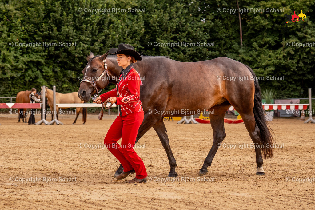 LMS06682 | BS-foto