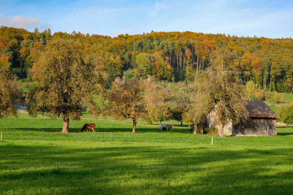 DSCF1355 | Ich fotografiere Landschaften, Produkte und erstelle für Sie Firmenportraits. Engagieren Sie mich für den nächsten Projekt. - Realisiert mit Pictrs.com