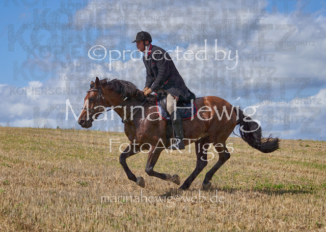 _MCH8487_Marina Hewig | Fotografie, FotoArt, PferdesportArt, Pferdesportfotografie, Landschaftsfotografie, Reisefotografie, Reise, Pferde - Realisiert mit Pictrs.com