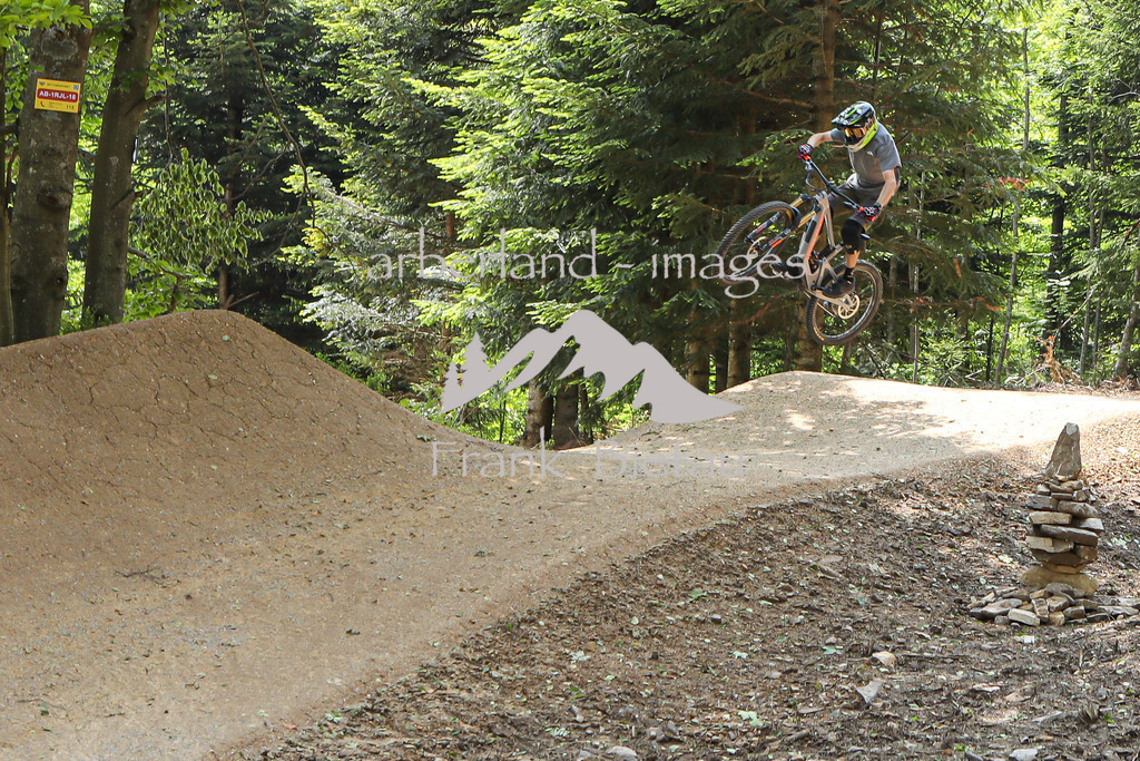 OE7A9400 | Impressionen von den Strecken durch den Arberwald