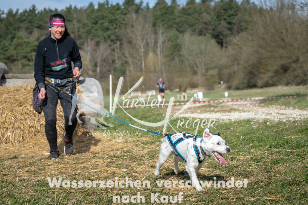 0953_ZZ97039 | kk-dogfotos