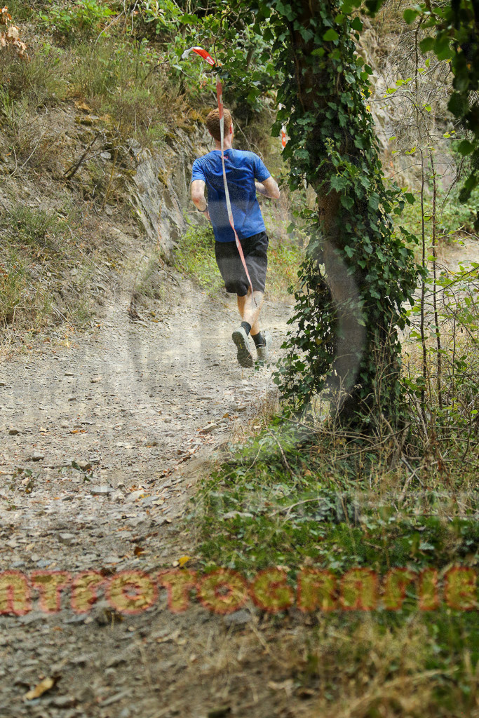 220827_1137_EX1_9246 | Sportfotografie im Rhein-Sieg Kreis, Köln, Bonn, NRW, Rheinland Pfalz, Hessen, etc. Unser Tätigkeitsfeld umfasst den Laufsport vom Volkslauf über den Marathon, Duathlon, Triathon bis zum Ultralauf wie Kölnpfad Ultra oder Schindertrail.