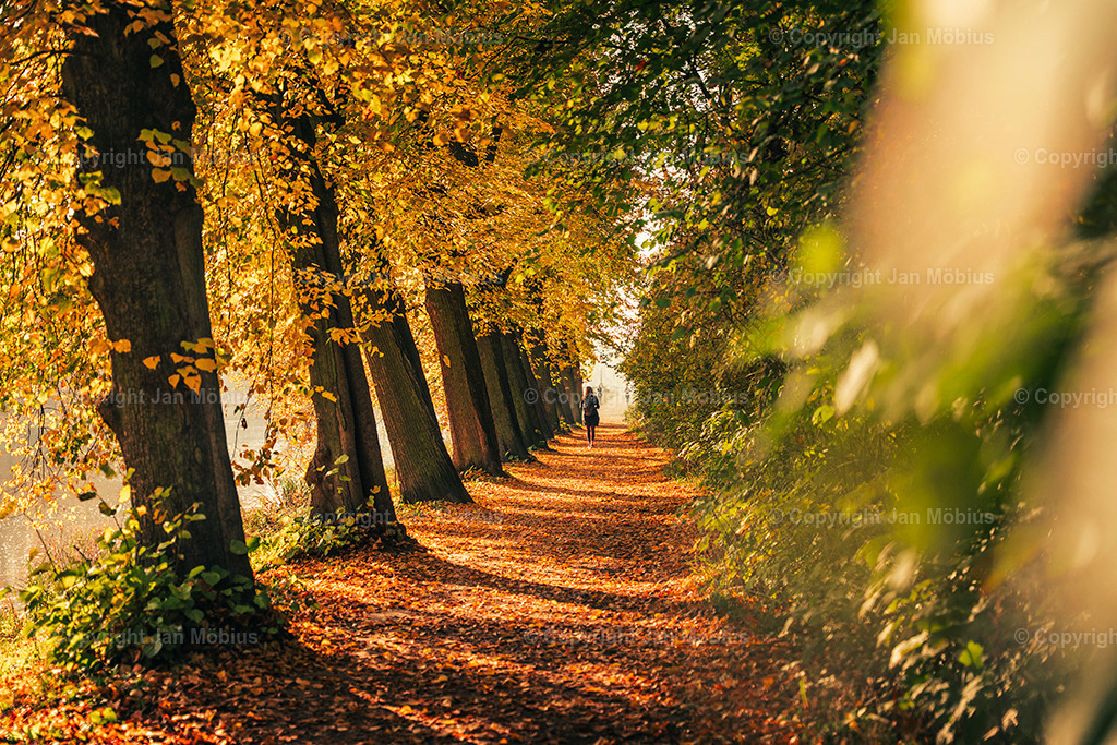 _DSC7146 | Leipzig Wandbilder Drucke Prints Leinwand Stadtmotive Leipzig Fotosdruck Kunstdrucke Bilder Leipzig Stadtansichten Acrylglasbilder Leipzig Wanddeko Fine Art Prints Wandbilder Büro Leipzig Bilder Praxis Zuhause Bilderdruck Poster Posterlounge Kunstdrucke - Realisiert mit Pictrs.com