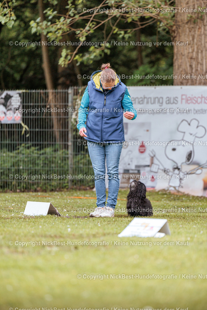 RO-Blumenthal-2026-Nickbest-Hundefotografie-0865 | Dein Hund! Dein Moment! Deine Erinnerungen! Hundefotografie in Bremen Blumenthal. Ich fange die besonderen Momente deines Vierbeiners ein – ob Indoor mit Blitzanlage oder in der freien Natur. Sicher dir dein Moment und dein Termin für eure Erinnerungen.