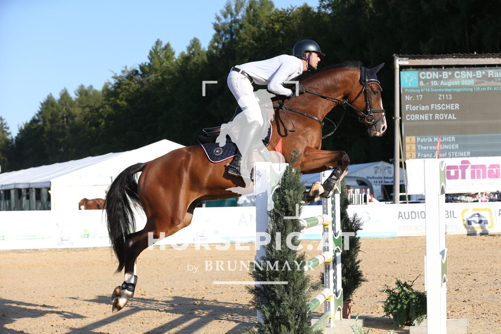 DL2Q0879 | Willkommen bei Brunnmayr - Design & Fotografie – Ihrem Spezialisten für Reitturniere und Pferdeveranstaltungen in Oberösterreich, Salzburg und Bayern! Seit über 17 Jahren sind wir leidenschaftlich dabei.