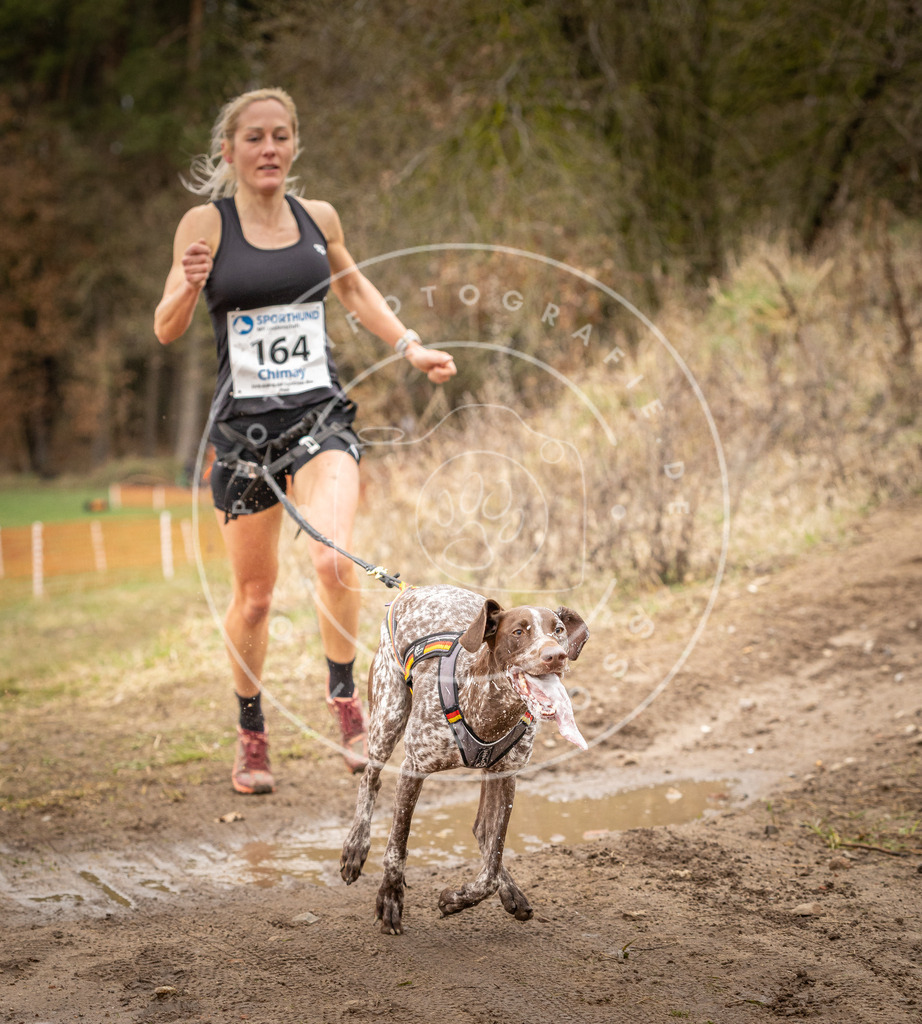DV3A2046 | Hundefotografie, Tierfotograf, Pfotenfotografie, Fotoshooting Hund, Hunde Portrait, Hundesport, Hundeportraits, Heideshooting, Hunde, Sportfotograf, Hundefotograf, Turnierhundsport, THS,  - Realisiert mit Pictrs.com