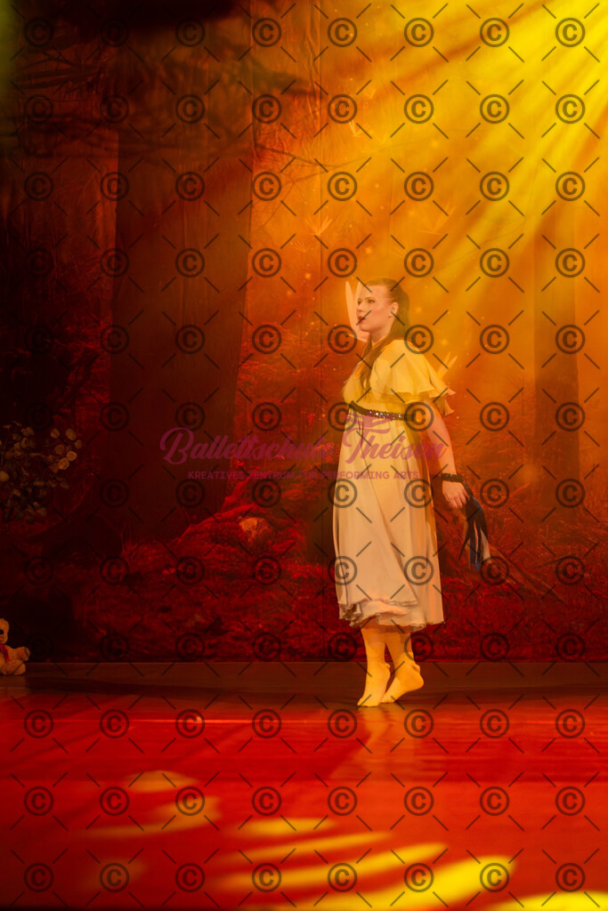 Ballettaufführung-1493 | Bildershop Lem'n Entertainment - Realisiert mit Pictrs.com
