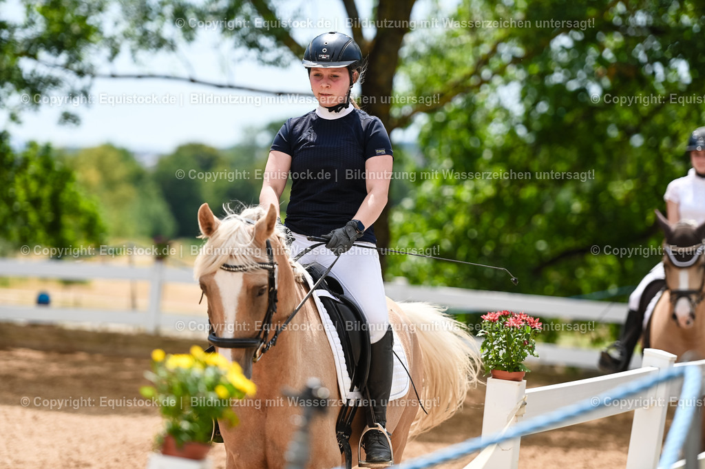 20230715_09_Dressur-WB_0541 | equistock