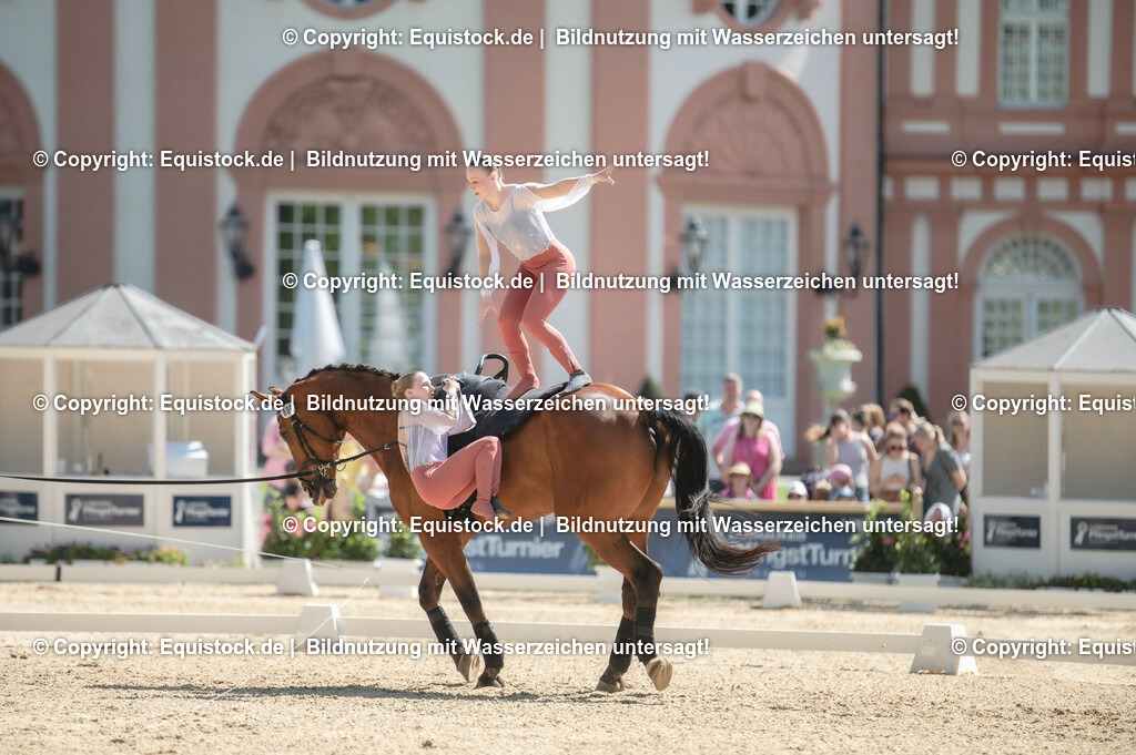 20230528_Voltigieren_NASPA_0374 | equistock