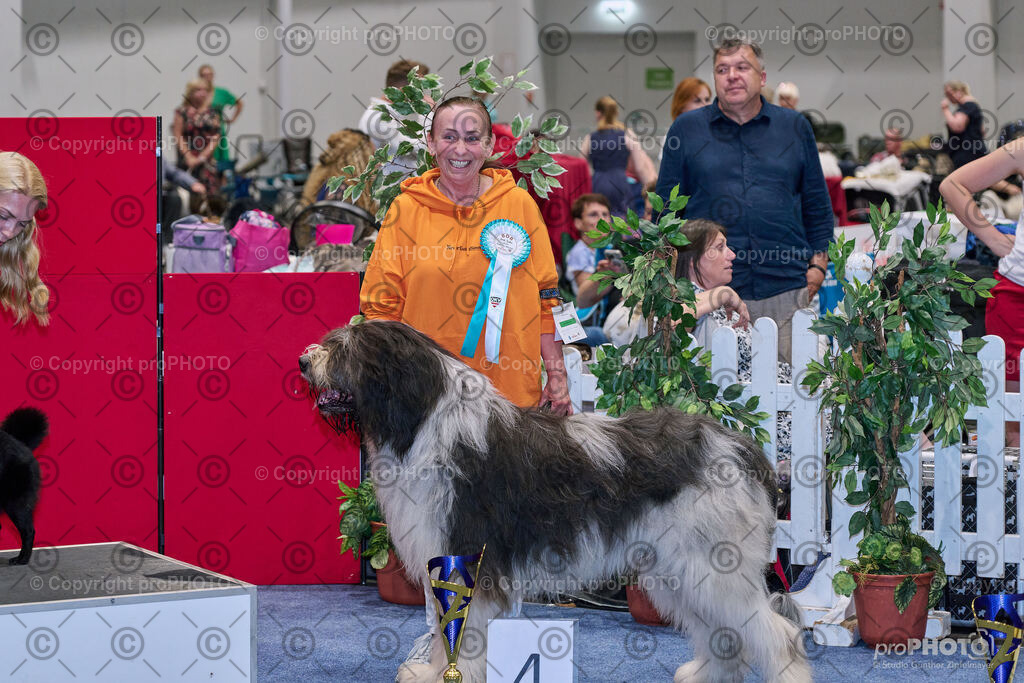 202406_ÖKV-IHA-Tulln24_NZ9_7803 | proPHOTO - Realisiert mit Pictrs.com