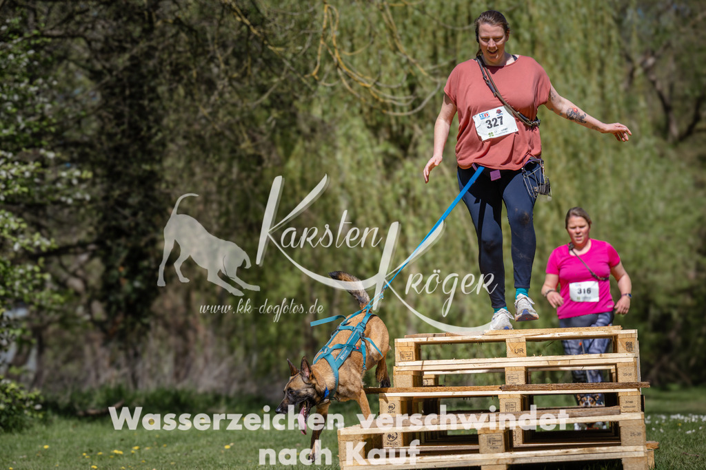 1225_ZZ91515 | kk-dogfotos
