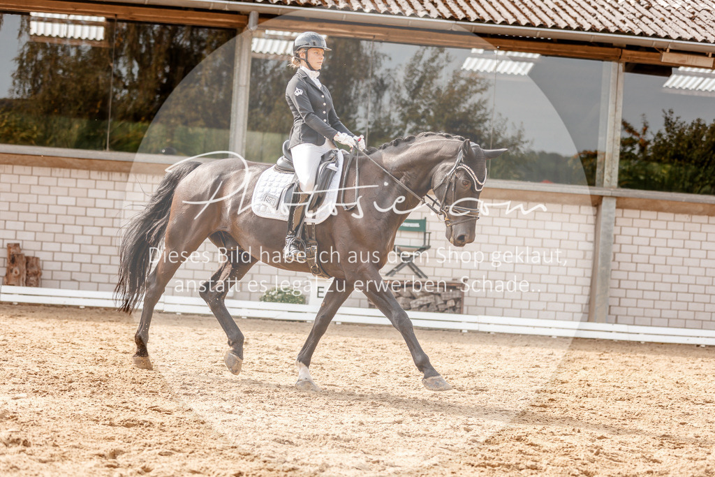 3I6A4126 | Stimmungsvolle Portraits und Reitsportfotografie im Ruhrgebiet und im Münsterland.

Pferdefotografie, Hundefotografie, Tierfotografie, Reportagen, Portraits von Tier und Mensch, Turnierfotografie in Bochum, Recklinghausen, Marl, Haltern am See, Dülmen.. - Realisiert mit Pictrs.com