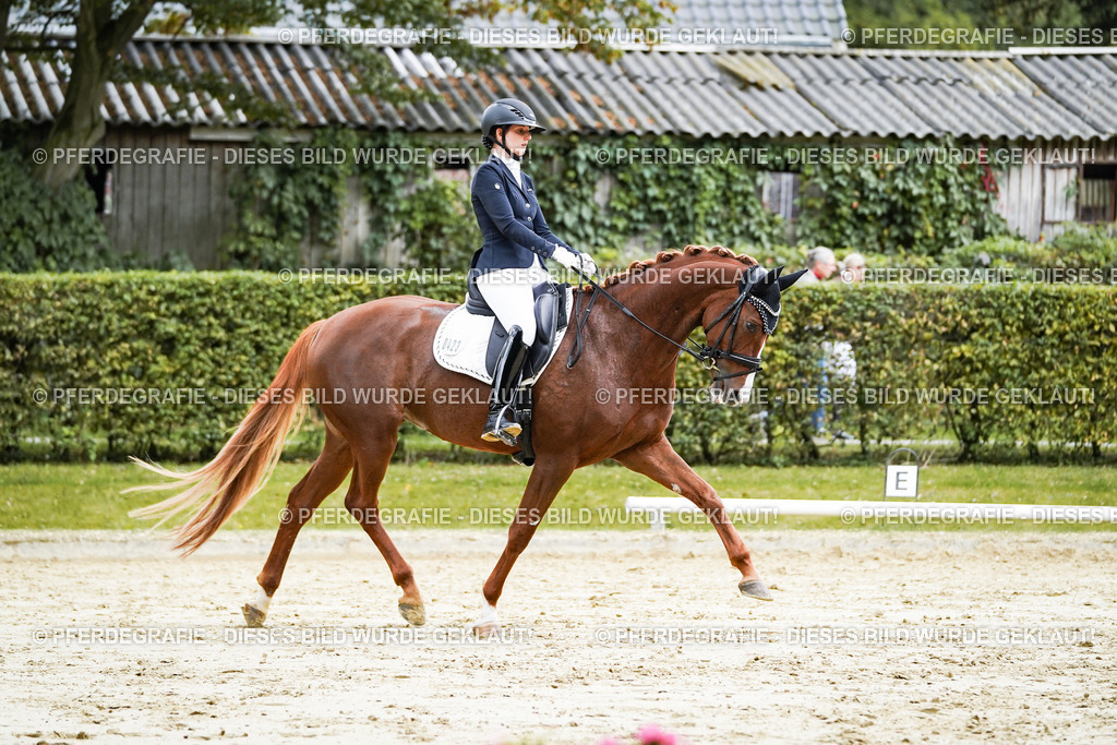 DSC06956 | Pferdegrafie