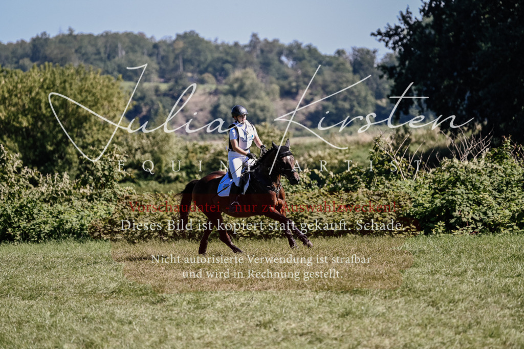 DSC_1521 | Pferde- und Turnierfotografie in Westsachsen. Pferdeportraits, Auftragszeichnungen und intuitive Kunst.