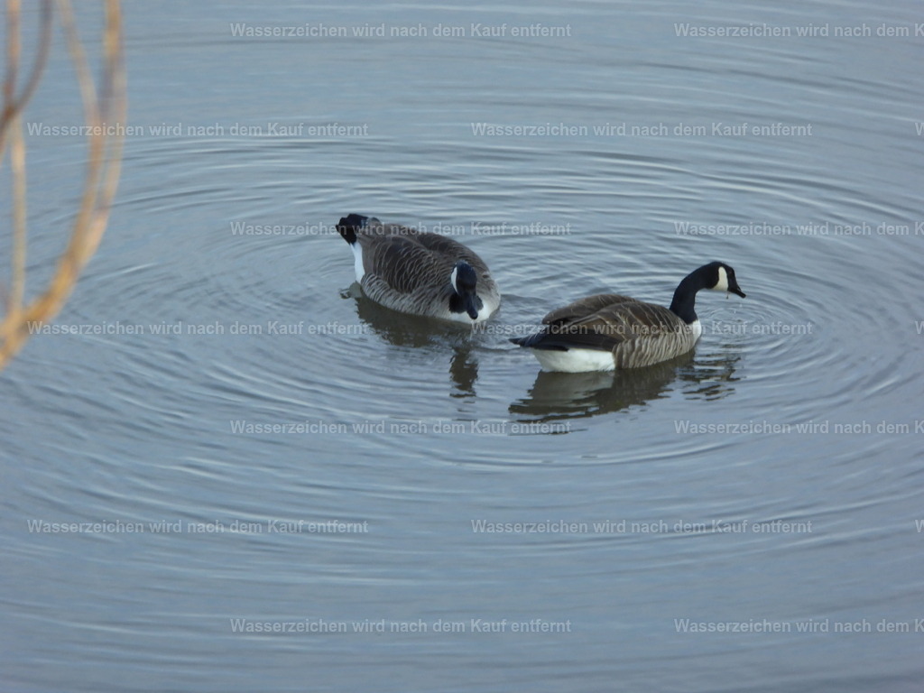 P1000727 | Entdecken Sie die faszinierende Welt von Norbert Michels: Surreale Kunstwerke, hochwertige Fotos, Leinwandbilder & Fotoprodukte wie Tassen mit bild7 - Realisiert mit Pictrs.com