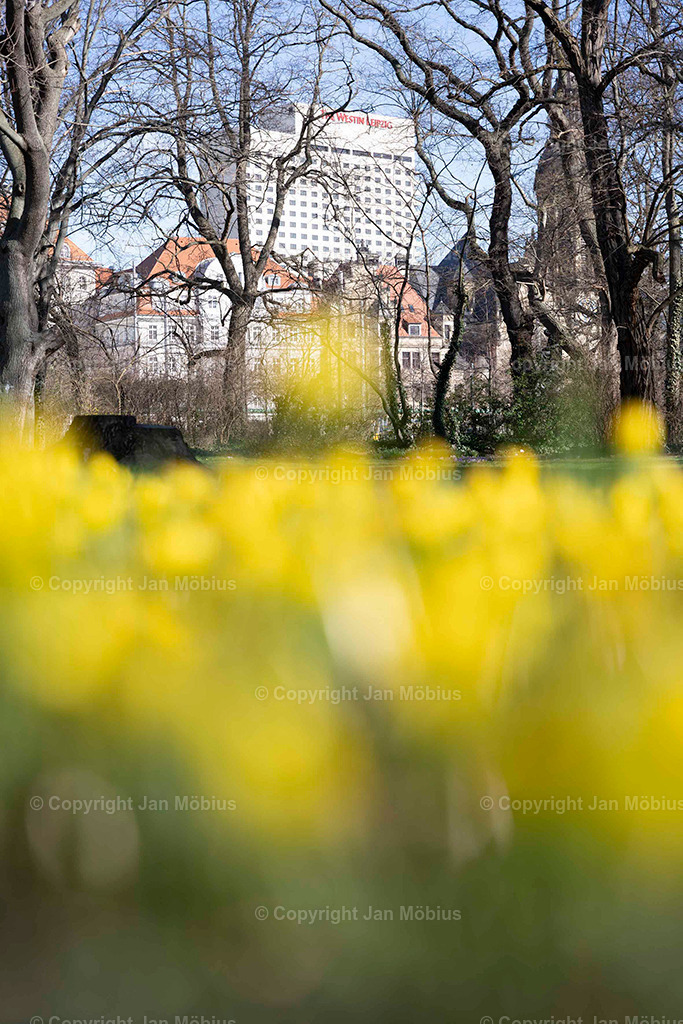 _DSC3574 | Leipzig Wandbilder Drucke Prints Leinwand Stadtmotive Leipzig Fotosdruck Kunstdrucke Bilder Leipzig Stadtansichten Acrylglasbilder Leipzig Wanddeko Fine Art Prints Wandbilder Büro Leipzig Bilder Praxis Zuhause Bilderdruck Poster Posterlounge Kunstdrucke - Realisiert mit Pictrs.com
