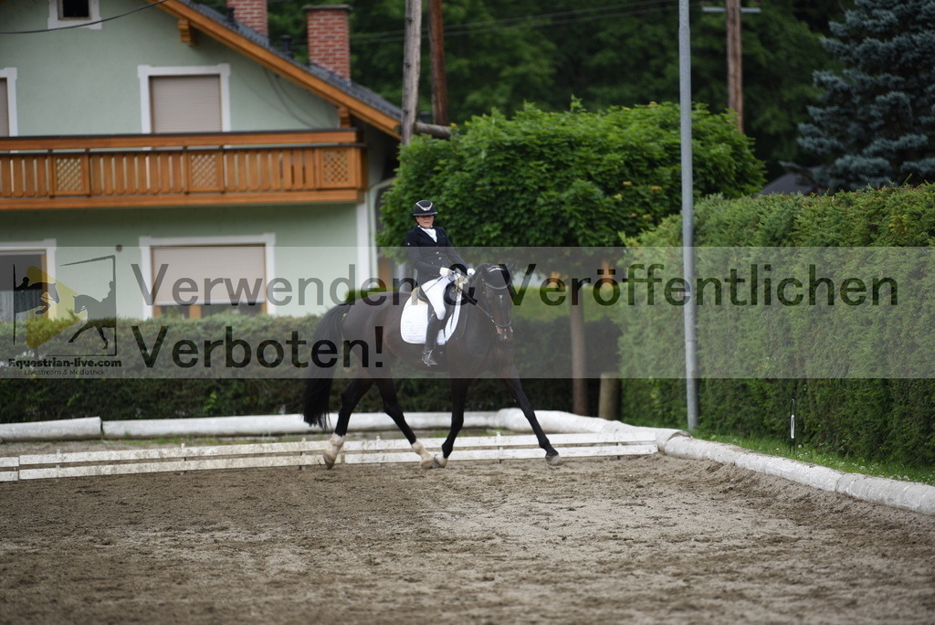 DSC_4681 | equestrian-live-com