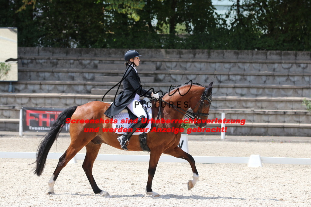 IMG_7558 | lmwpictures - Realisiert mit Pictrs.com