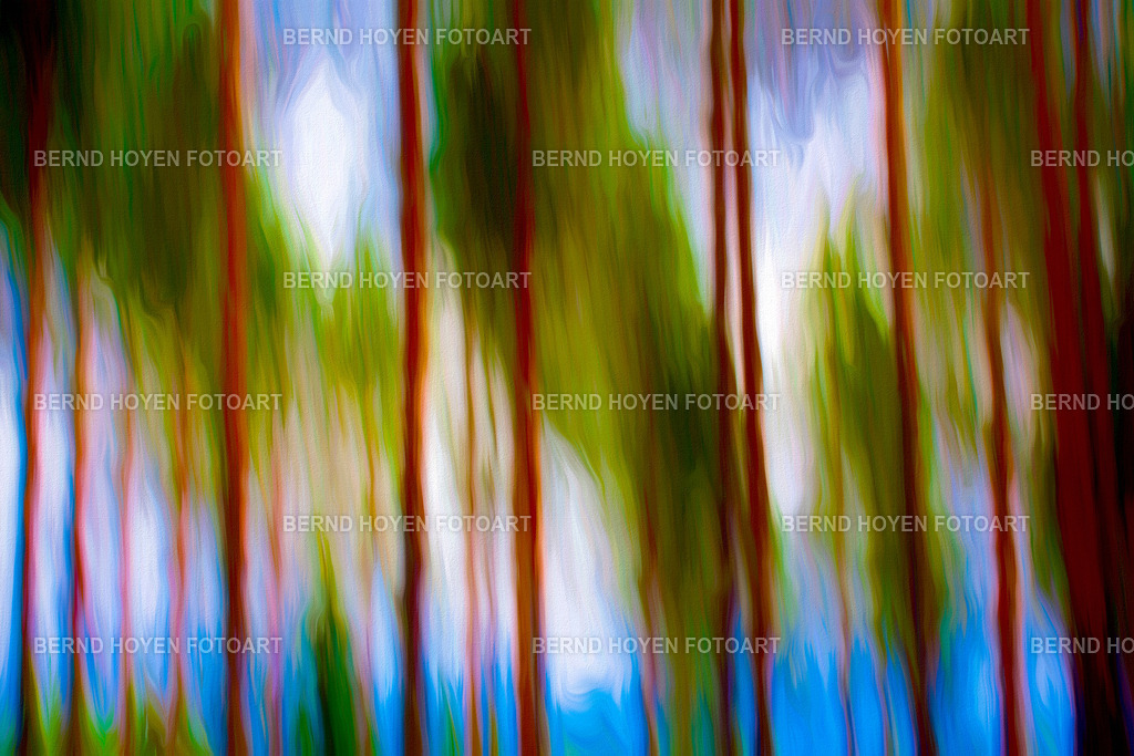 the noisy ghosts | Fotografie einiger Bäume im Naturreservat Krokshult in Smaland, Schweden.Die Aufnahme entstand durch Langzeitbelichtung und Mitziehen der Kamera (ICM / Wischtechnik). Durch entsprechende Bildbearbeitung wurde ein malerischer Effekt hinzugefügt. | Photographs of some trees in the Krokshult Nature Reserve in Småland, Sweden.The image was created using a long exposure and panning the camera (ICM / panning technique). A painterly effect was added through appropriate image editing. - Realisiert mit Pictrs.com