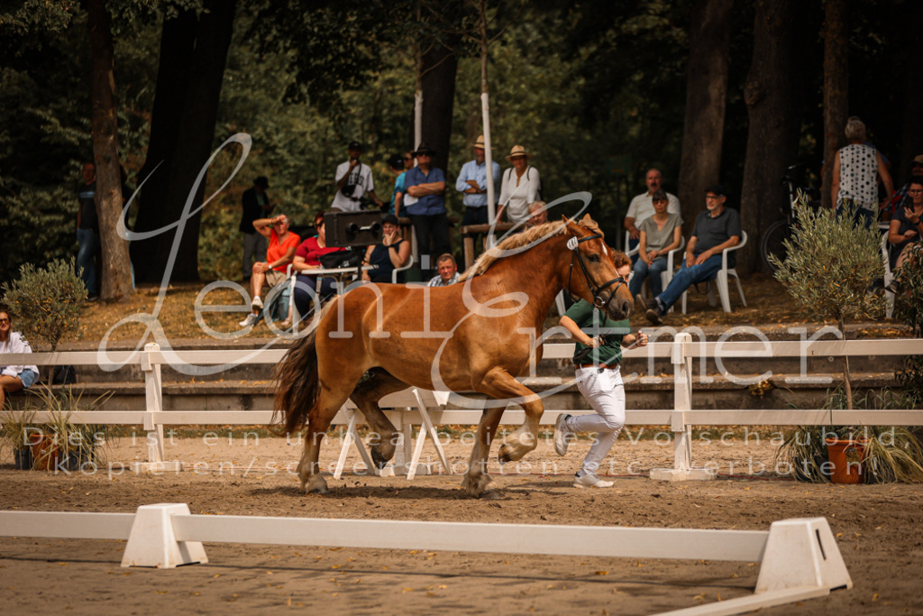 3.Sa00007 | Leoni Ertmer Photography - Realisiert mit Pictrs.com