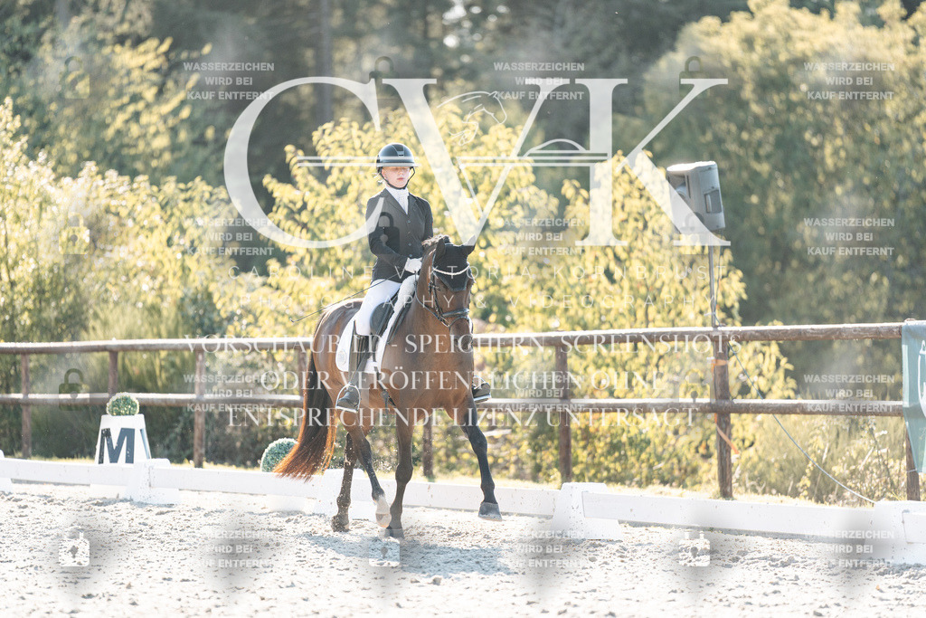 CK907019 | Turnierfotografie Pferdefotografie Trier Rheinland-Pfalz Pferdesport Reitsport Tierfotografie Sportfotografie Pferdevideo Pferdevideografie Equestrianvideography equestrianphotography  - Realisiert mit Pictrs.com